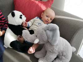 louis